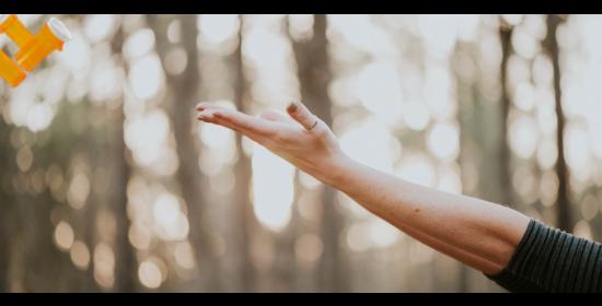 woman's outstretched arm with trees in background and bottles of pills off to the side