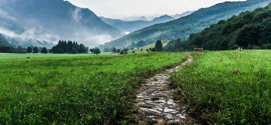 A path out into the wilderness