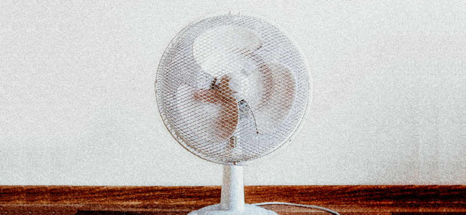 fan