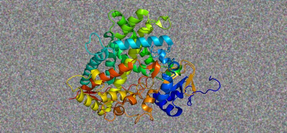 Cytochrome P-450