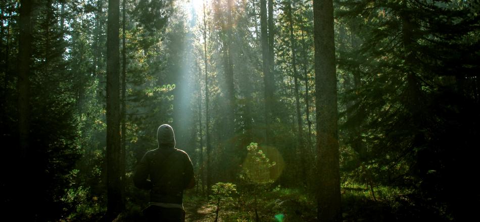 man standing in the woods