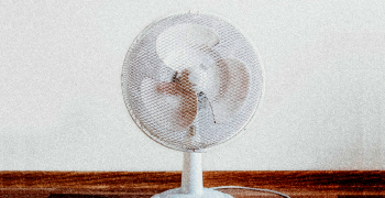 fan