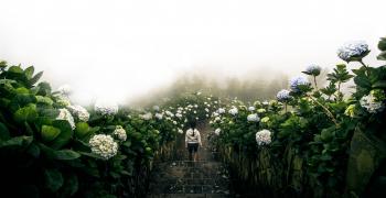 woman walking down steps surrounded by flowers and fog