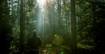 man standing in the woods