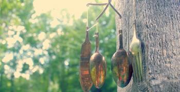 wind chimes